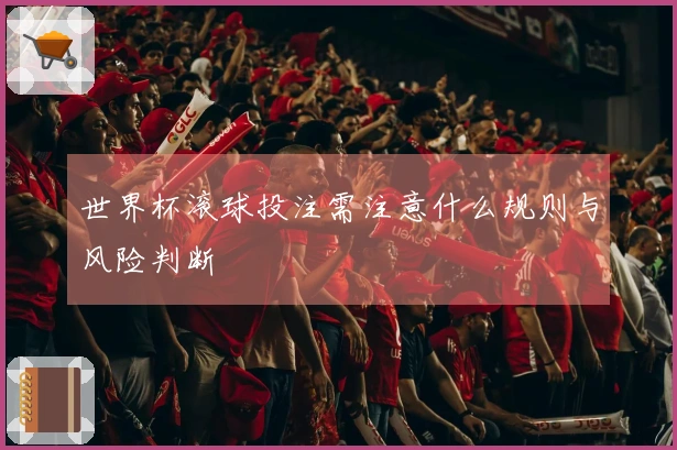 世界杯滚球投注需注意什么规则与风险判断