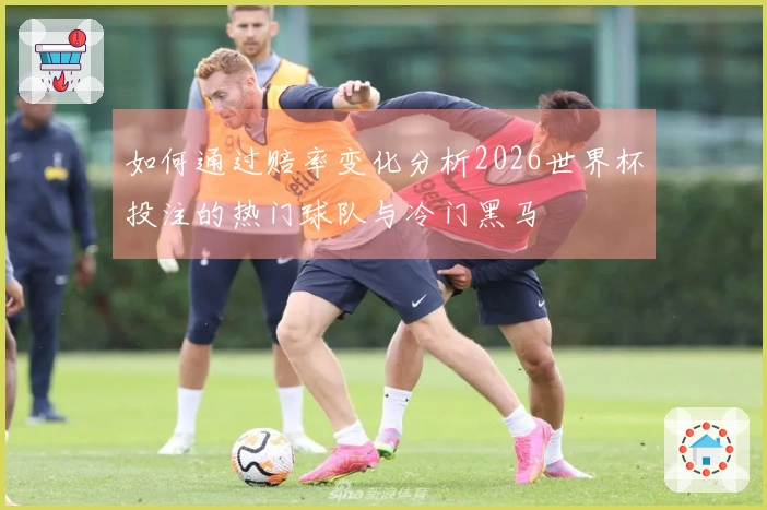 如何通过赔率变化分析2026世界杯投注的热门球队与冷门黑马